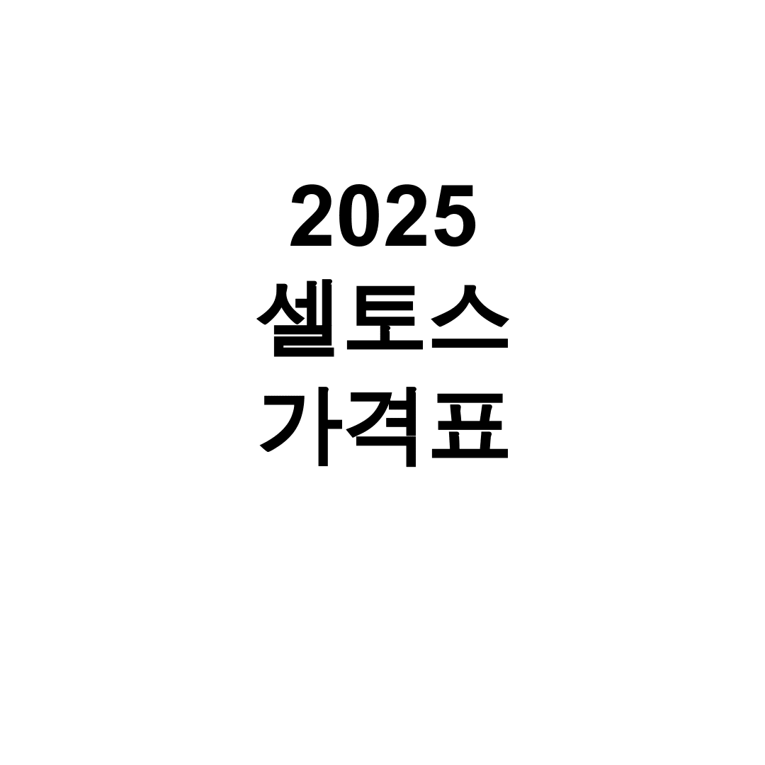 2025 셀토스 가격표