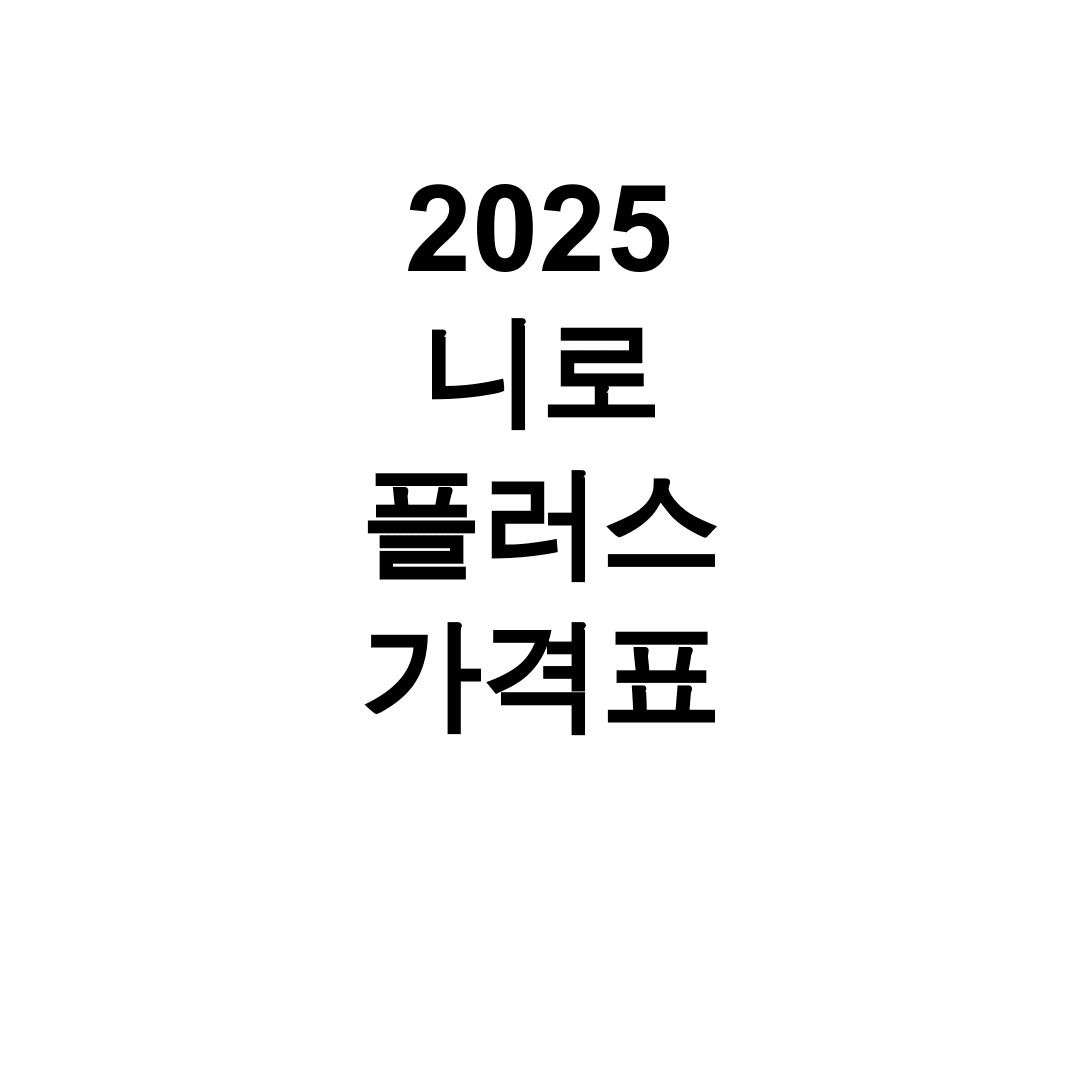 2025 니로 플러스 가격표