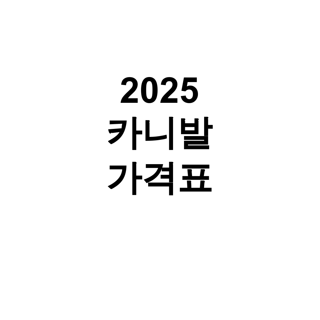 2025 카니발 가격표