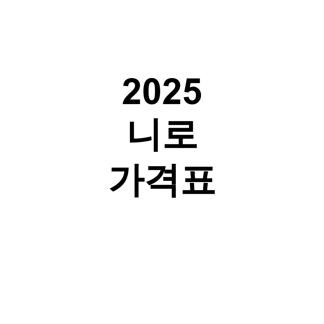 2025 니로 가격표