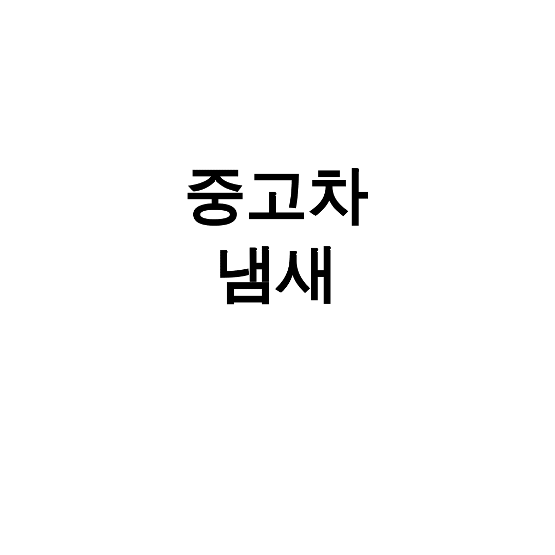 중고차 냄새